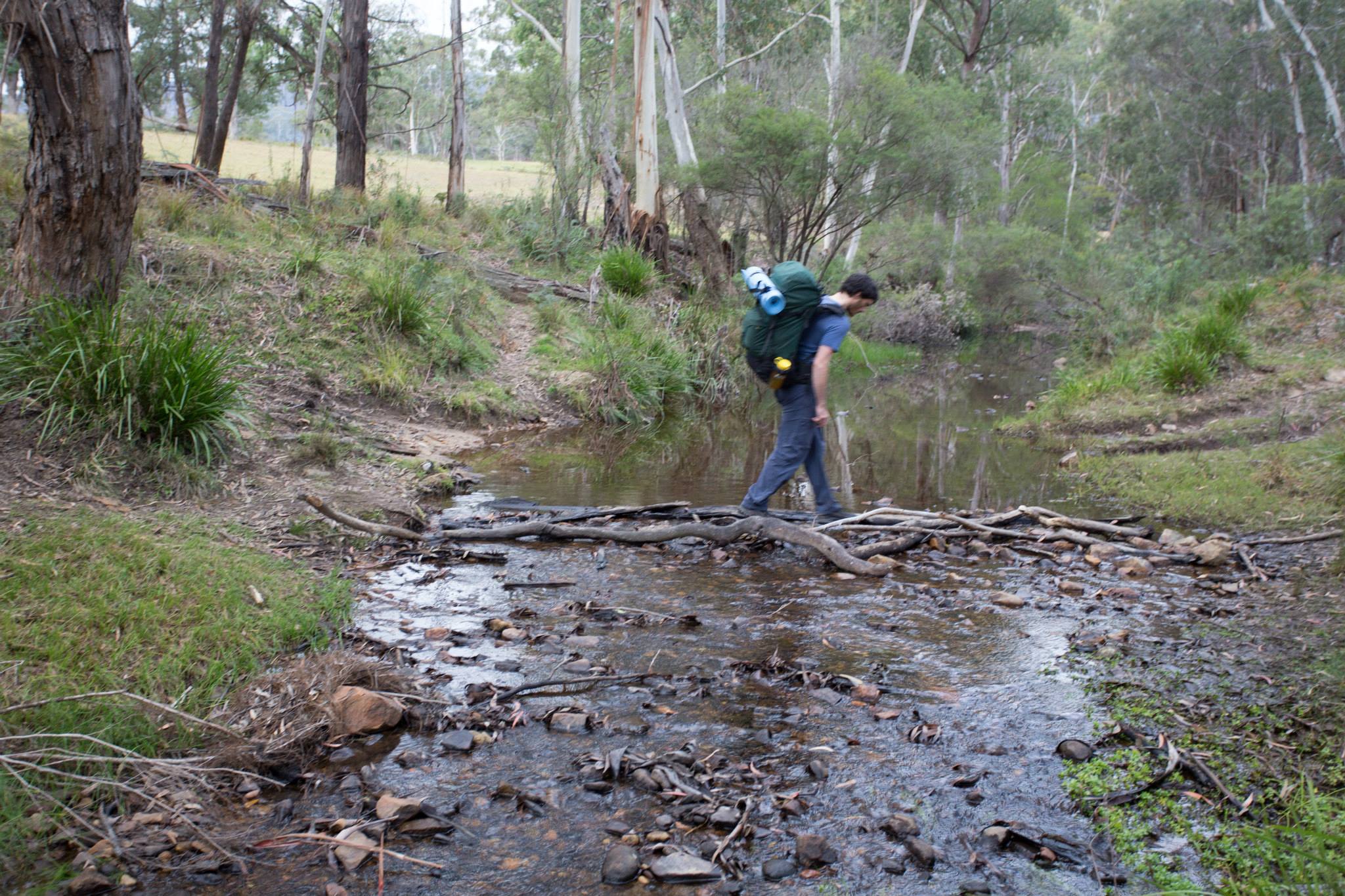 Dave Creek Crossing