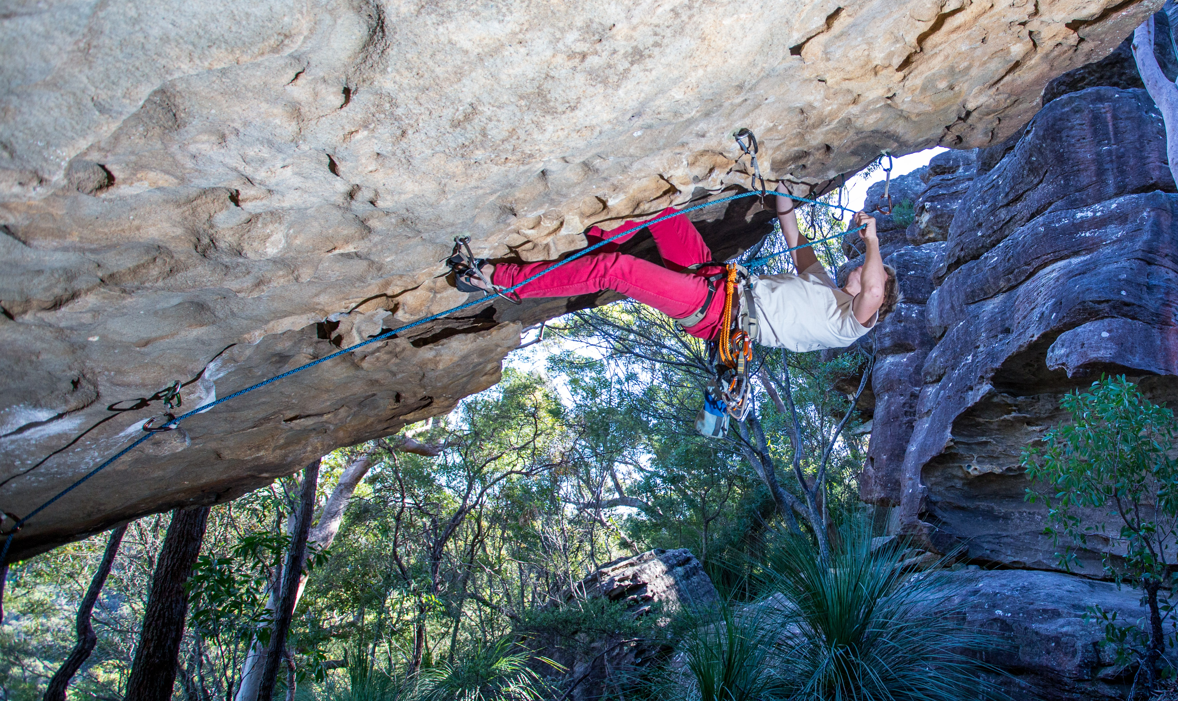 Beginner Climbing