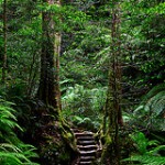 Boree Log - Rodriguez pass hiking trip