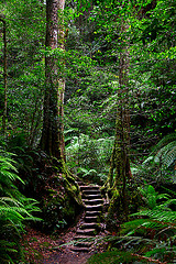 Boree Log - Rodriguez pass hiking trip