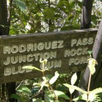 Blue Mountains Bushwalking - Rodriguez Pass-Junction Rock-Horse Track