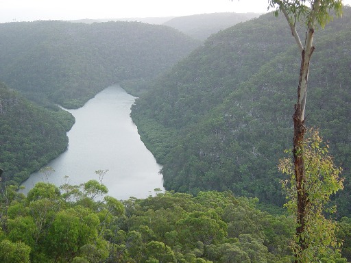 Beginners hike - Berowra to Cowan