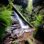 Intermediate Canyoning