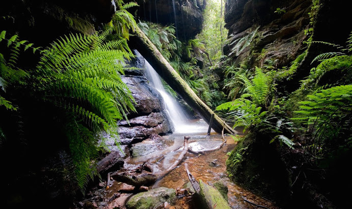 Intermediate Canyoning