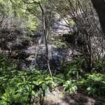 Intro to HIKING - Spit to Manly