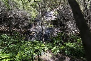 Intro to HIKING - Spit to Manly