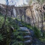 Boree log - BEGINNER'S HIKE - Lost city take 2!