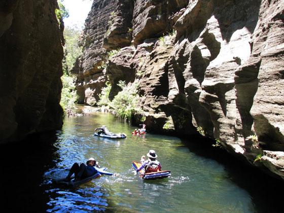 Beginner's Saturday Canyon - Wollangambe