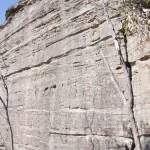 Boree Log - Sunday Climbing Mt York