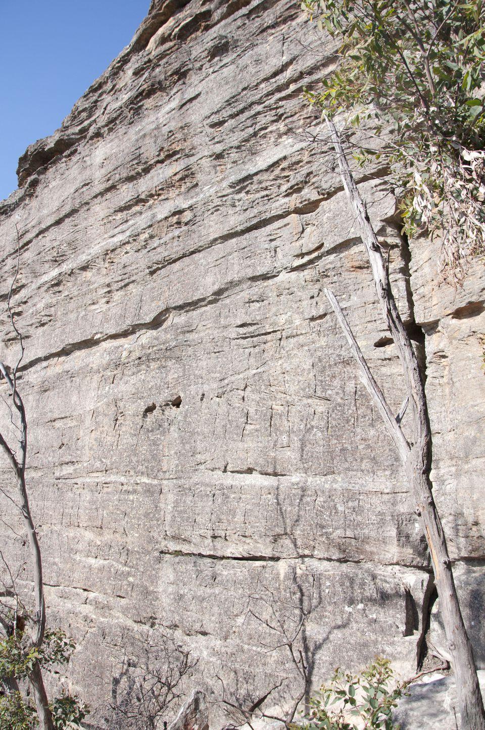 Boree Log - Sunday Climbing Mt York