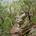 The Promised Land - Beginner Friendly Bouldering