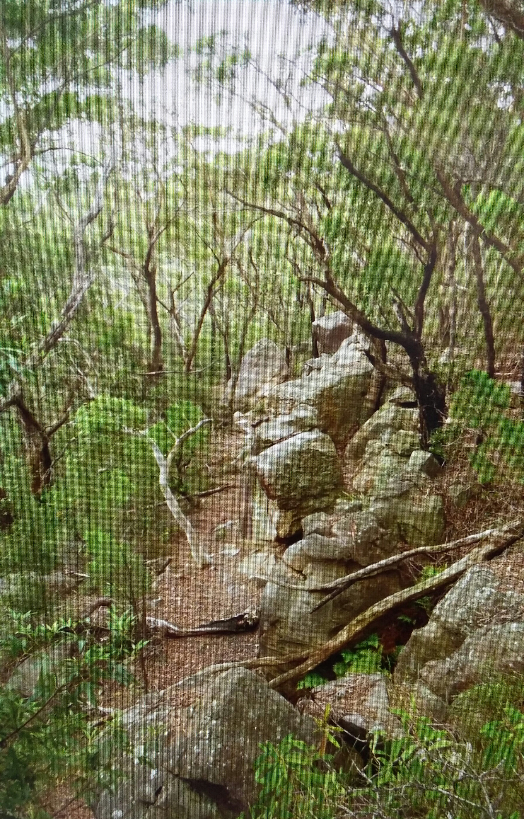 The Promised Land - Beginner Friendly Bouldering