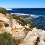 Intro to Hiking - Cape Banks
