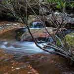 Day Adventure to Sassafras Gulley