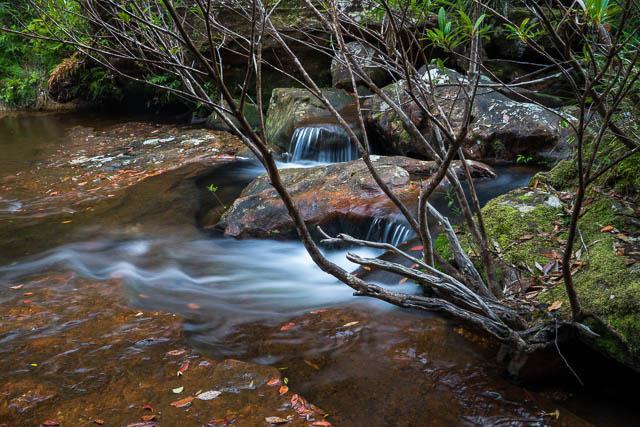 Day Adventure to Sassafras Gulley