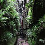 StarLIGHT UP YOUR REALM