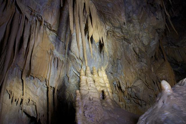 Colong caves exploration – UNSW Outdoors Club