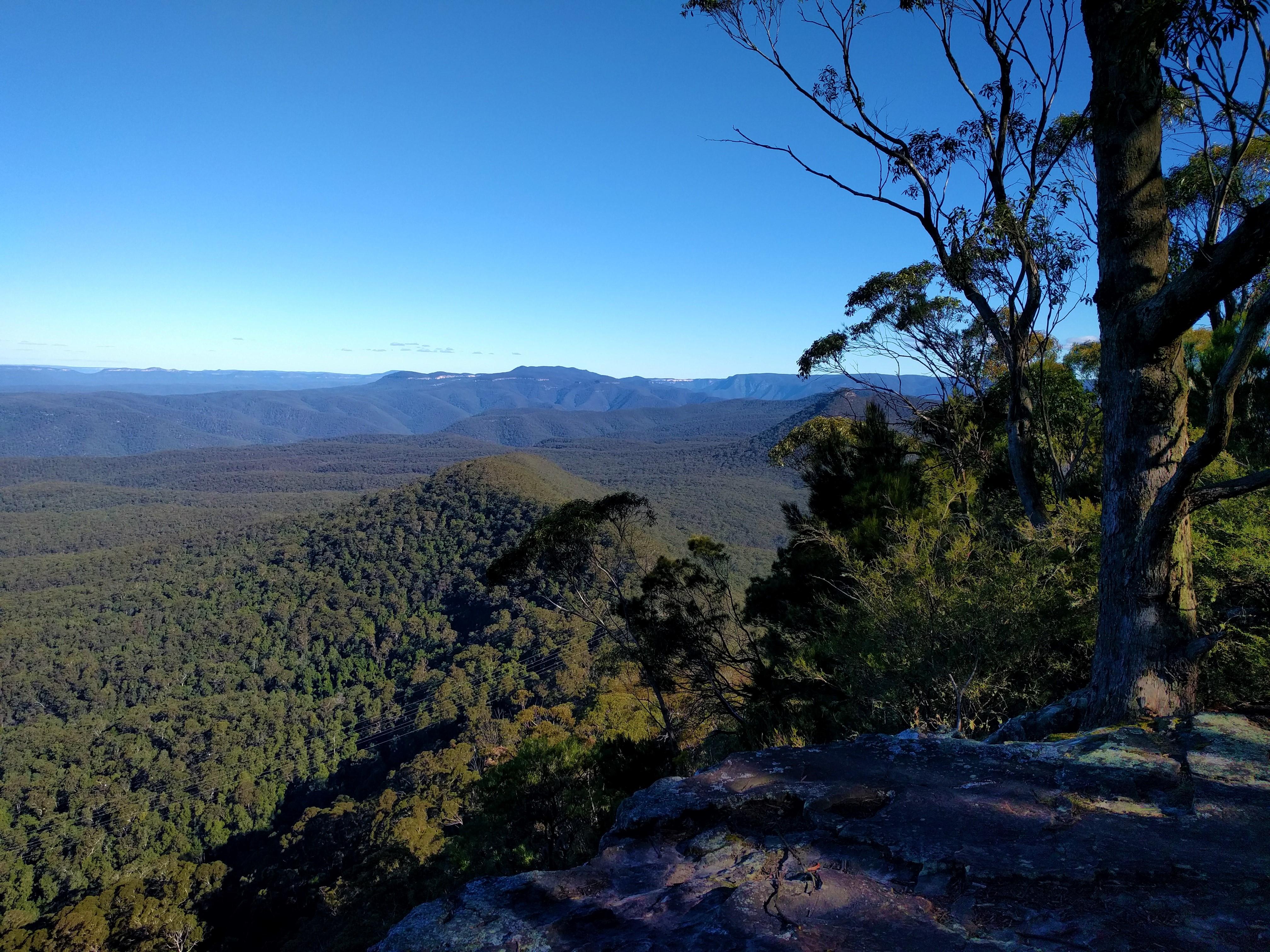 Overnight Intermediate Bushwalk - Wild Dog Mountains