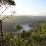 Great North Walk - Intermediate hiking