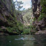 Boree Log Sunday Canyoning - Wollangambe 2 - Electric Wollangambeloo
