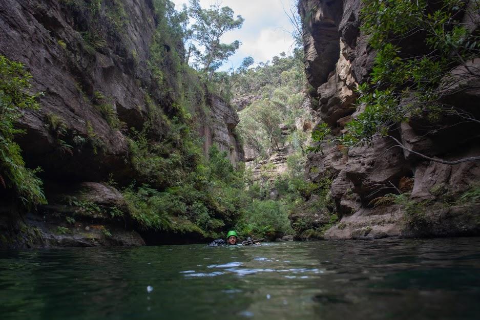 Boree Log Sunday Canyoning - Wollangambe 2 - Electric Wollangambeloo