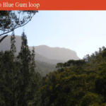 Overnight Hike: Blackheath to Blue Gum Loop