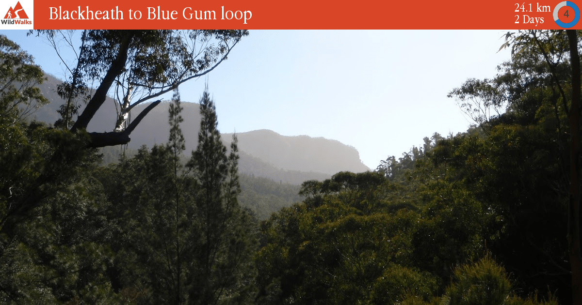 Overnight Hike: Blackheath to Blue Gum Loop