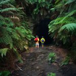 Sunday BL – Beginner Hike – (NEED 1 CAR) To the Glow Worm Tunnel and Beyond