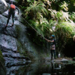 Sunday 15th: Serendipity (Intermediate)