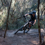 Manly Dam Mountain Biking