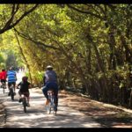 Road ride - City to Olympic Park and back