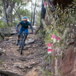 Beginner/Intermediate Mountain Bike Trip - Oaks Trail