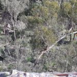 Bin night at Sunset Rock