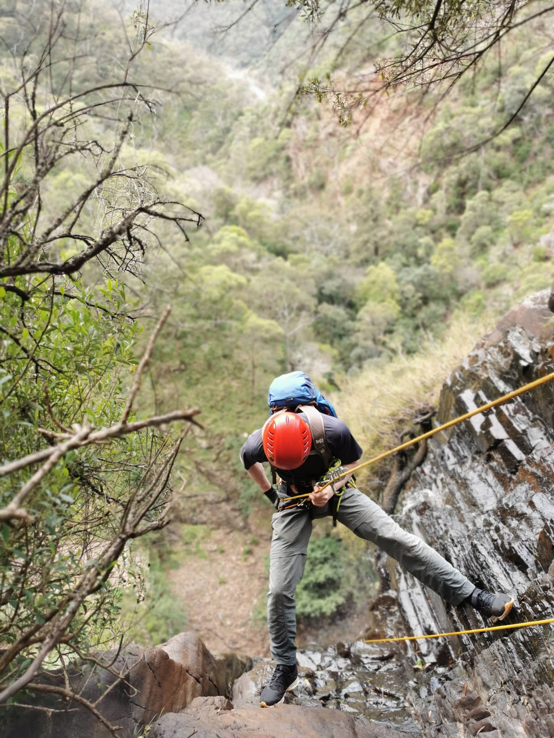 Beginner Abseiling Training - Sunday 8th January - Lindfield Rocks