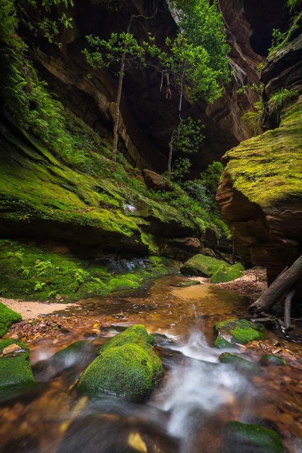 [FULL] SATURDAY BL - BELL CREEK Canyoning