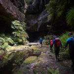 Intermediate Canyon – Jugglers + Grand