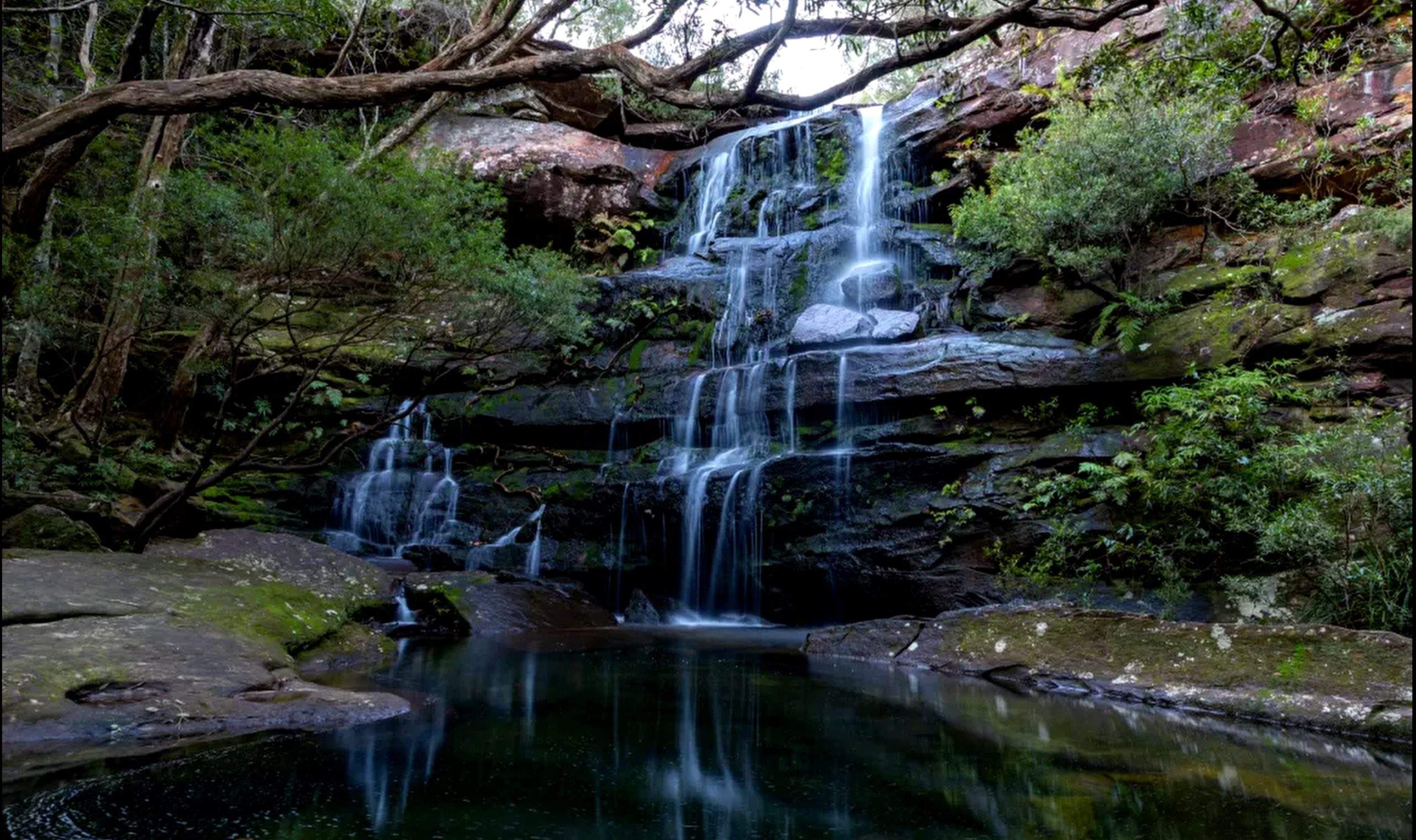 Day Hike – Staples Lookout to Pindar Cave (Brisbane Water National Park)