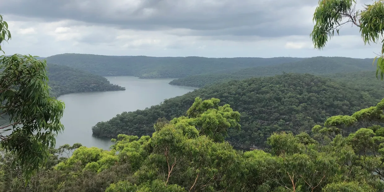 [FULL] Intermediate kayak - Berowra Creek