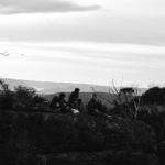 Overnight Hike - Into the wild dog mountains