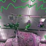 Intro to Caving Skills