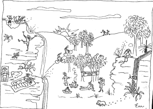 A cartoon of the 1999 Boree Log by Emma Murray