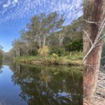 Welcome to the Club - Beginners Social Hike, Lane Cove