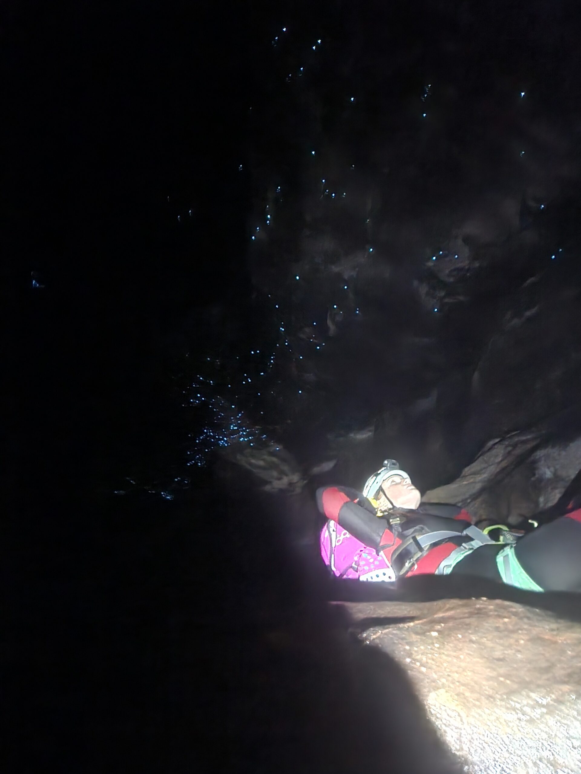 Welcome Canyon!! Calling all new members