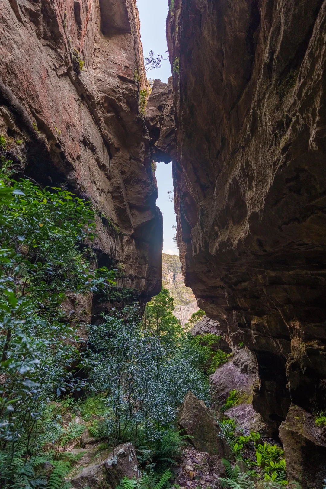 [1 SPOT LEFT] SUNDAY BL - DEVILS HOLE Hike