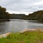 Middle Harbour Hike, Belrose - Beginner friendly