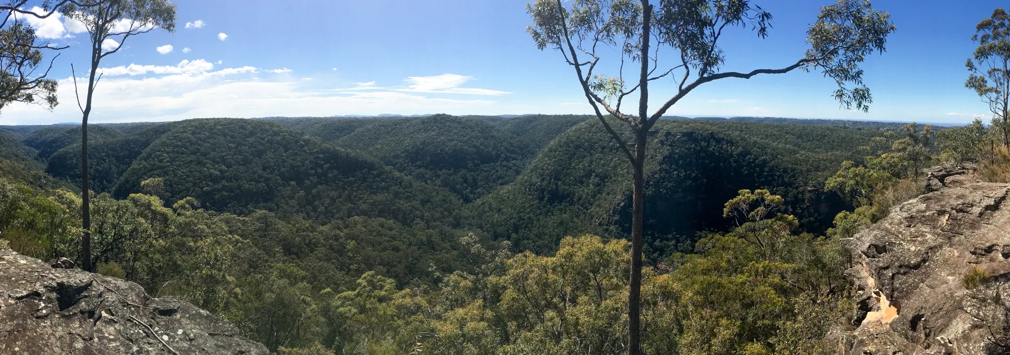 Intermediate Hike - Springwood to Blaxland via Lost World