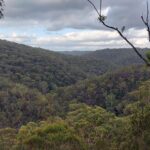 Beginner Hike - Hornsby to Epping via Great North Walk [Monday 5th October, Public Holiday]