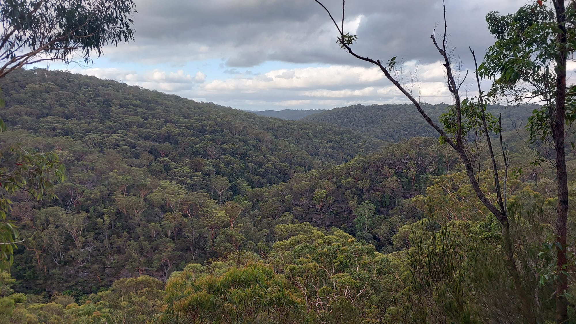 Beginner Hike - Hornsby to Epping via Great North Walk