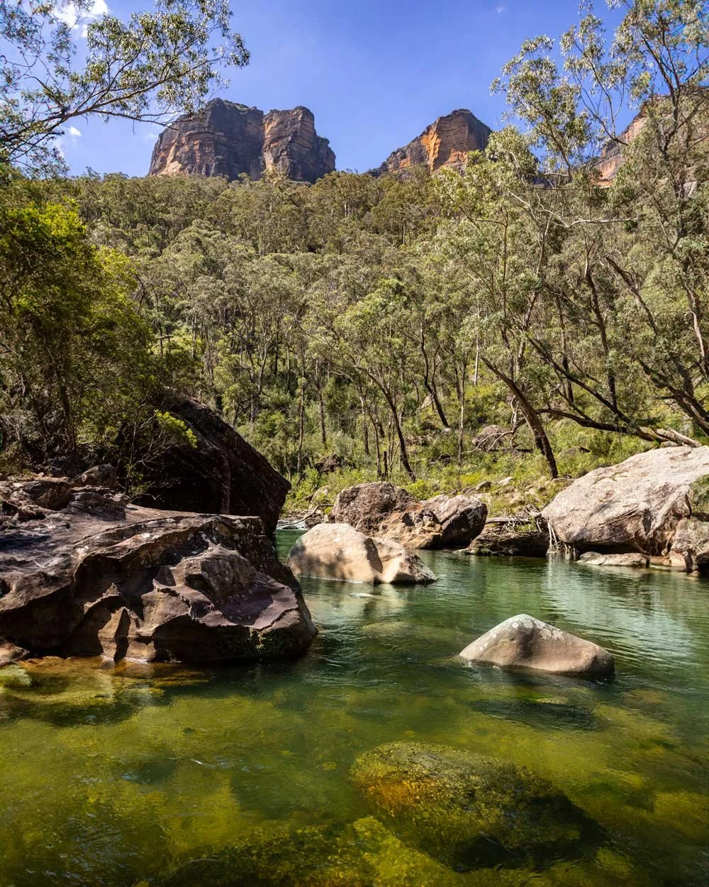 SUNDAY BL - PIERCES PASS hike + swim [beginner]