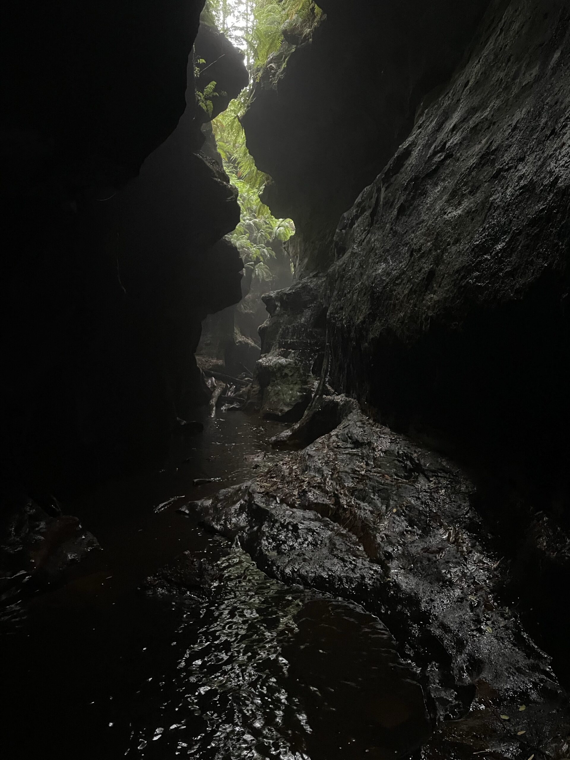 Saturday BL – Other Bowens Canyon [Beginner]